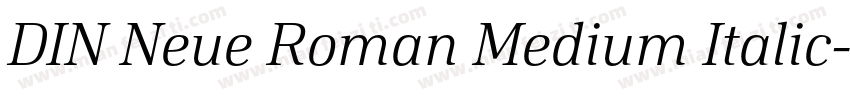 DIN Neue Roman Medium Italic字体转换